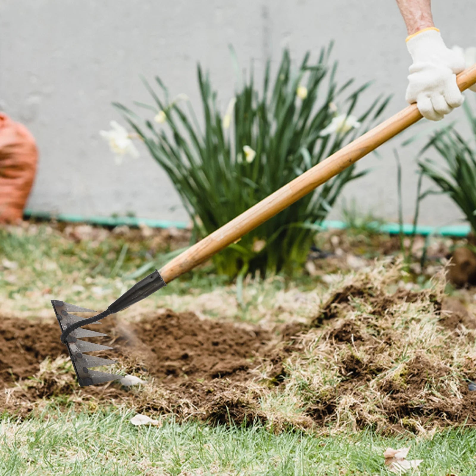 6-Tooth Heavy-Duty Carbon Steel Garden Rake